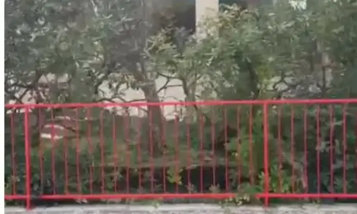 Rexer-Lido-delle-Nazioni-Villa-unifamiliare-viale-Principato-di-Monaco-Lido-delle-Nazioni-Comacchio-Altro