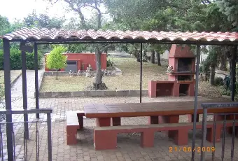 Rexer-Sassari-Casa-con-ampio-terreno-olivetato-Zona-Li-Buttangari-Sassari-Altro