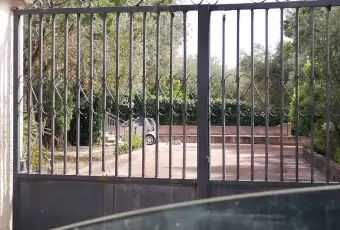 Rexer-Sassari-Casa-con-ampio-terreno-olivetato-Zona-Li-Buttangari-Sassari-Altro
