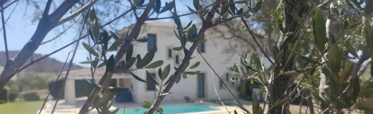 Rexer-Case-Peschieralu-Fraili-Villa-indipendente-con-piscina-in-vendita-Via-Stromboli-Lu-Fraili-San-Teodoro-Altro
