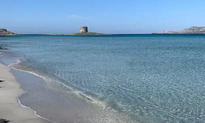 Rexer-Stintino-Villa-in-vendita-in-Via-Carlo-Alberto-dalla-Chiesa-Stintino-Altro