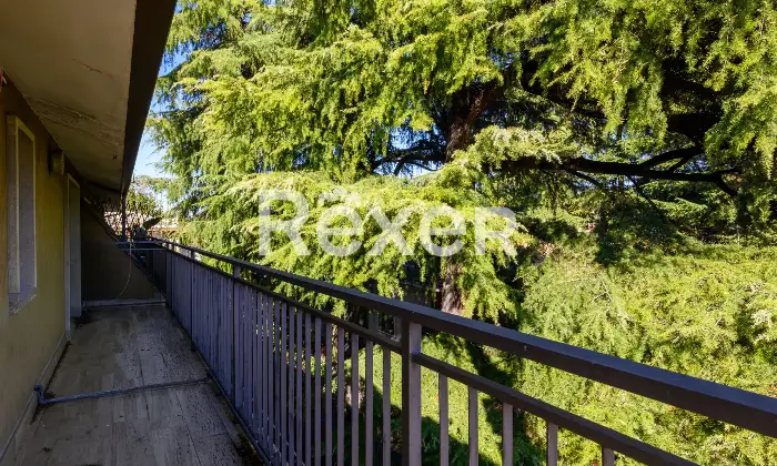 Rexer-Padova-Mini-appartamento-con-terrazza-Altro