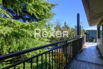 Rexer-Padova-Mini-appartamento-con-terrazza-Altro