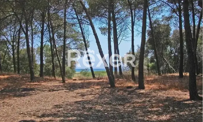 Rexer-Cropani-Complesso-agrituristico-su-ettari-immerso-nel-verde-Altro