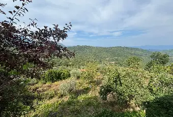 Rexer-Casola-in-Lunigiana-Casa-indipendente-con-terrazza-e-cantina-a-Casciana-Casola-in-Lunigiana-Altro