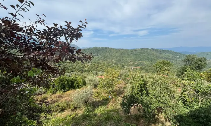 Rexer-Casola-in-Lunigiana-Casa-indipendente-con-terrazza-e-cantina-a-Casciana-Casola-in-Lunigiana-Altro
