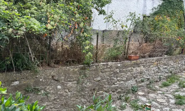 Rexer-Casola-in-Lunigiana-Casa-indipendente-con-terrazza-e-cantina-a-Casciana-Casola-in-Lunigiana-Altro