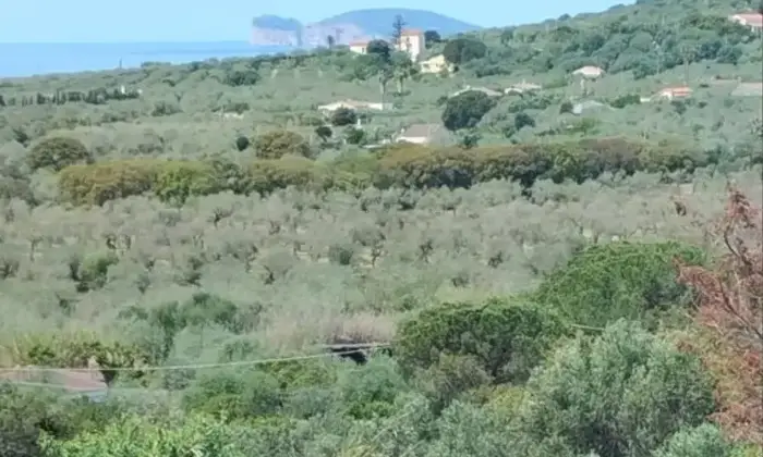 Rexer-Alghero-Propriet-rustica-in-vendita-in-Regione-Montanelli-Alghero-Altro