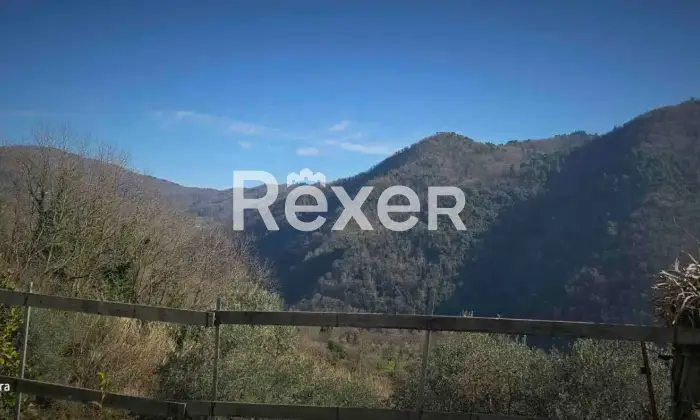 Rexer-Villa-Basilica-Villa-con-Giardino-e-Oliveto-Villa-Basilica-Lucca-Altro