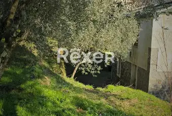 Rexer-Villa-Basilica-Villa-con-Giardino-e-Oliveto-Villa-Basilica-Lucca-Altro