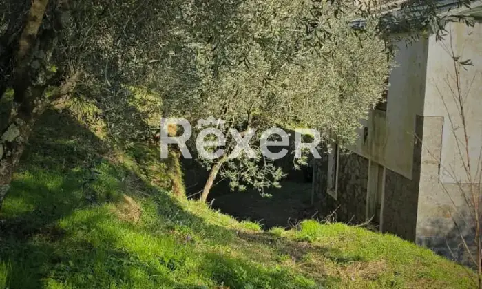 Rexer-Villa-Basilica-Villa-con-Giardino-e-Oliveto-Villa-Basilica-Lucca-Altro