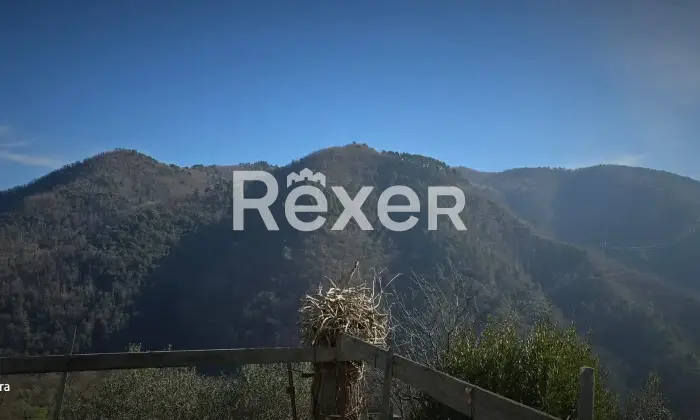 Rexer-Villa-Basilica-Villa-con-Giardino-e-Oliveto-Villa-Basilica-Lucca-Altro