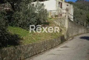 Rexer-Villa-Basilica-Villa-con-Giardino-e-Oliveto-Villa-Basilica-Lucca-Altro