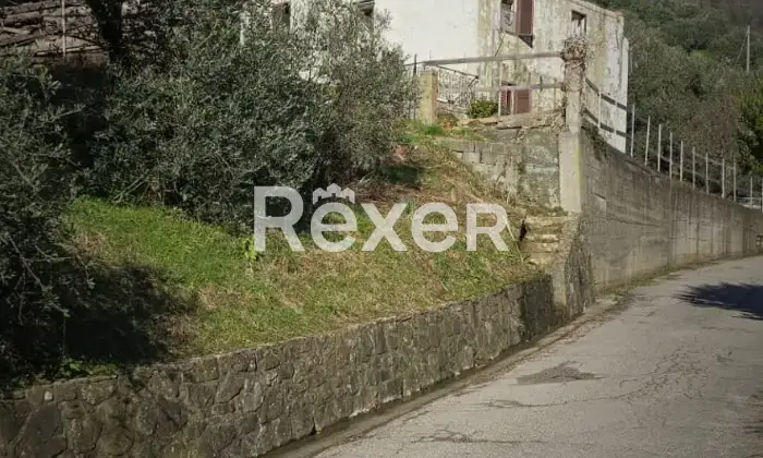 Rexer-Villa-Basilica-Villa-con-Giardino-e-Oliveto-Villa-Basilica-Lucca-Altro