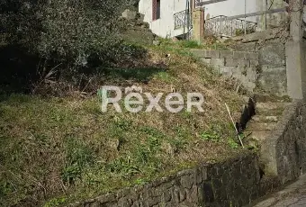 Rexer-Villa-Basilica-Villa-con-Giardino-e-Oliveto-Villa-Basilica-Lucca-Altro