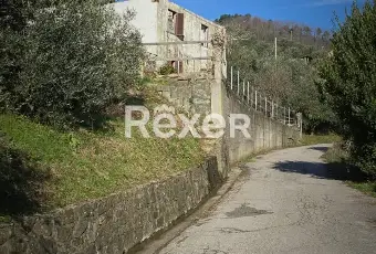 Rexer-Villa-Basilica-Villa-con-Giardino-e-Oliveto-Villa-Basilica-Lucca-Altro