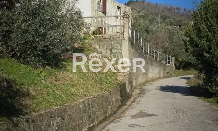 Rexer-Villa-Basilica-Villa-con-Giardino-e-Oliveto-Villa-Basilica-Lucca-Altro