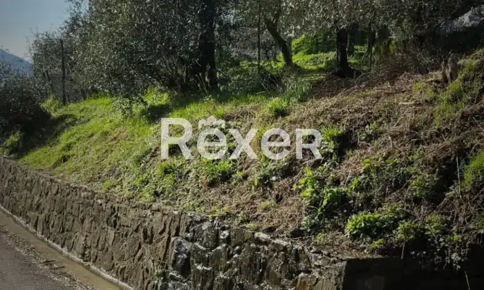 Rexer-Villa-Basilica-Villa-con-Giardino-e-Oliveto-Villa-Basilica-Lucca-Altro