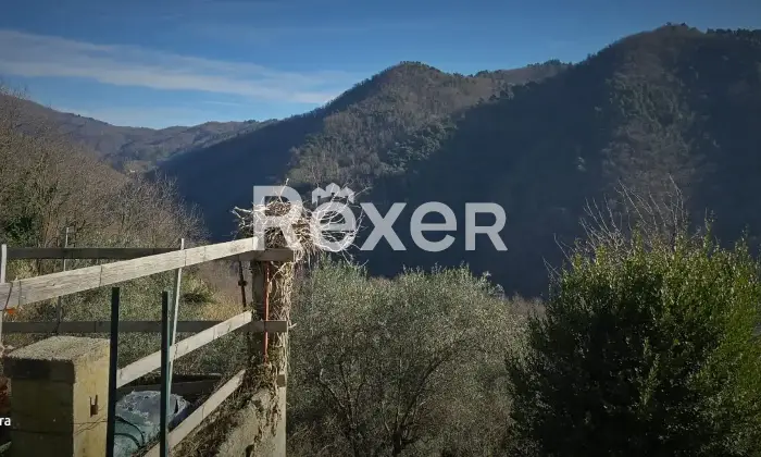 Rexer-Villa-Basilica-Villa-con-Giardino-e-Oliveto-Villa-Basilica-Lucca-Altro