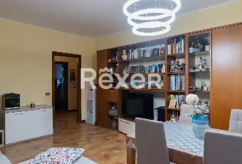 Rexer-Verona-Appartamento-luminoso-con-box-auto-e-cantine-Altro