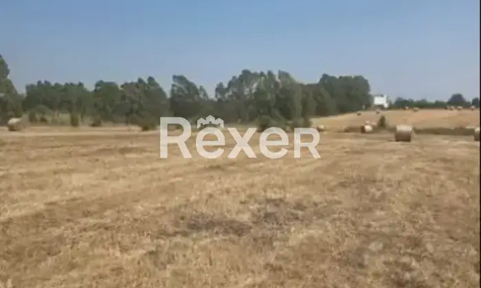Rexer-Solarussa-Casa-al-grezzo-con-ampio-terreno-a-Solarussa-OR-Altro