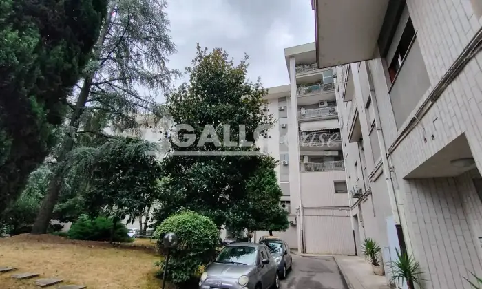 Rexer-Cosenza-Trilocale-piazza-Primo-Maggio-Citt-Terrazzo
