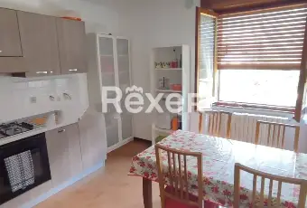 Rexer-Colorina-Ampio-appartamento-con-Giardino-Privato-Box-Mansarda-e-Cantina-Altro