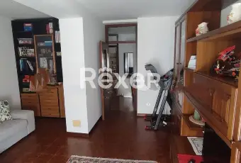 Rexer-Colorina-Ampio-appartamento-con-Giardino-Privato-Box-Mansarda-e-Cantina-Altro