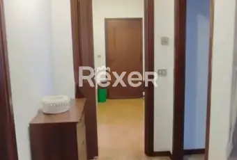 Rexer-Colorina-Ampio-appartamento-con-Giardino-Privato-Box-Mansarda-e-Cantina-Altro