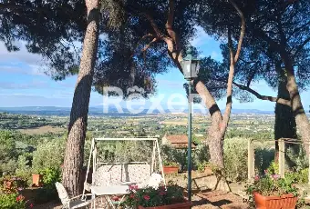 Rexer-Cortona-Antica-Villa-Storica-con-ettari-di-terreno-a-Cortona-AR-Altro