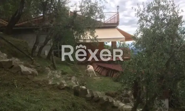 Rexer-Marliana-Vendo-grande-casa-Giardino