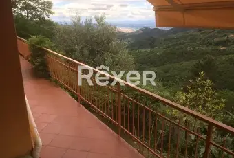 Rexer-Marliana-Vendo-grande-casa-Terrazzo