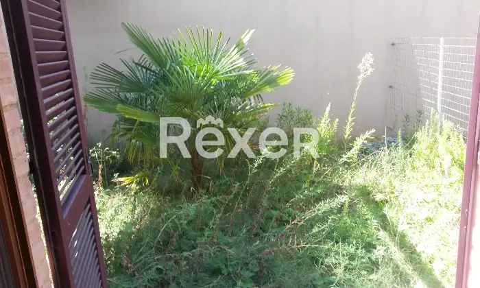 Rexer-Casole-dElsa-Appartamento-in-vendita-a-Casole-dElsa-Altro