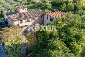 Rexer-Fiesole-Ampio-appartamento-in-contesto-prestigioso-con-giardino-privato-Altro
