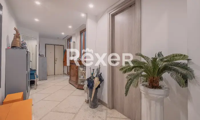 Rexer-Roma-Trieste-Massaciuccoli-appartamento-di-mq-con-terrazza-Altro