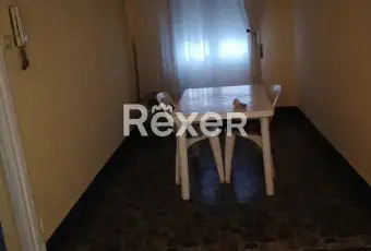 Rexer-San-Lorenzo-al-Mare-Appartamento-semindipendente-con-ampio-spazio-esterno-a-San-Lorenzo-al-Mare-Altro