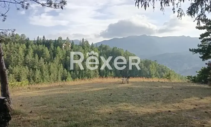 Rexer-Pescasseroli-Appartamento-su-Due-Livelli-a-Pescasseroli-Altro