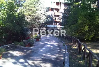 Rexer-Pescasseroli-Appartamento-su-Due-Livelli-a-Pescasseroli-Altro