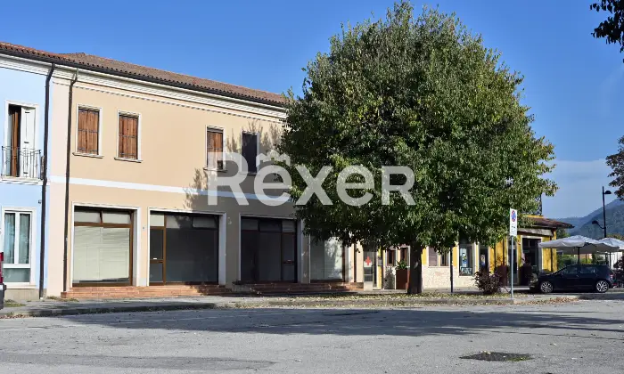 Rexer-Lozzo-Atestino-Palazzina-con-negozio-appartamenti-a-reddito-e-garage-a-Lozzo-Atestino-Altro