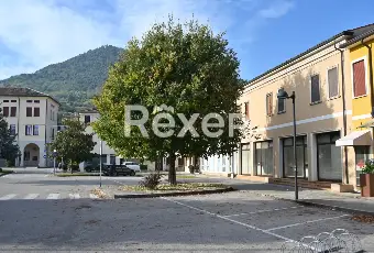 Rexer-Lozzo-Atestino-Palazzina-con-negozio-appartamenti-a-reddito-e-garage-a-Lozzo-Atestino-Altro