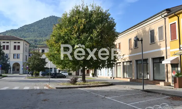 Rexer-Lozzo-Atestino-Palazzina-con-negozio-appartamenti-a-reddito-e-garage-a-Lozzo-Atestino-Altro