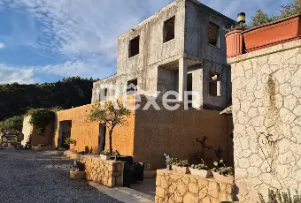 Rexer-Ventimiglia-Propriet-rustica-in-vendita-in-Via-NappioVentimiglia-Altro
