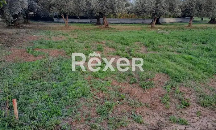 Rexer-Cepagatti-Terreno-edificabile-pianeggiante-in-vendita-Via-Fossanelli-Cepagatti-PE-Altro
