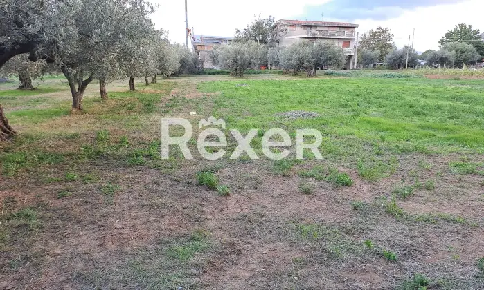 Rexer-Cepagatti-Terreno-edificabile-pianeggiante-in-vendita-Via-Fossanelli-Cepagatti-PE-Altro