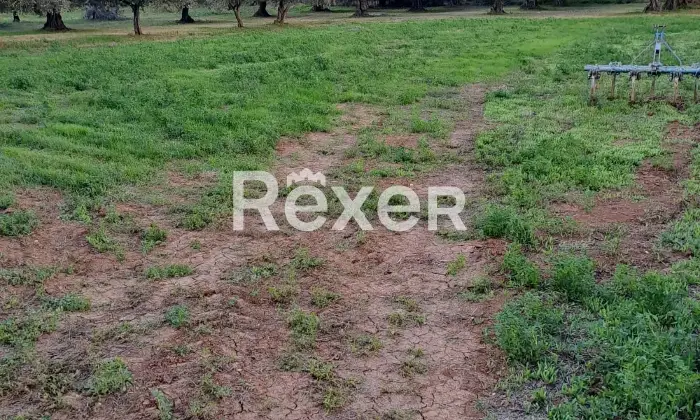 Rexer-Cepagatti-Terreno-edificabile-pianeggiante-in-vendita-Via-Fossanelli-Cepagatti-PE-Altro