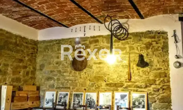 Rexer-Montaldeo-Tenuta-con-casa-padronale-appartamenti-indipendenti-e-ettari-di-terreno-ideale-per-agriturismo-o-residenza-privata-Altro