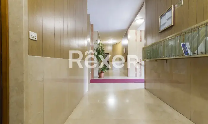 Rexer-Torino-Ampio-e-luminoso-appartamento-panoramico-Altro