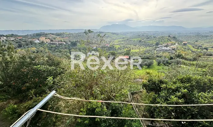 Rexer-Spoltore-Propriet-storica-sviluppata-su-tre-livelli-Altro