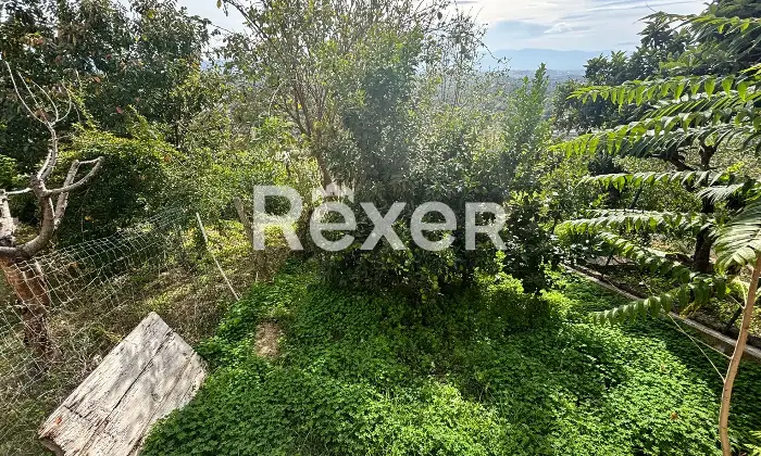 Rexer-Spoltore-Propriet-storica-sviluppata-su-tre-livelli-Altro