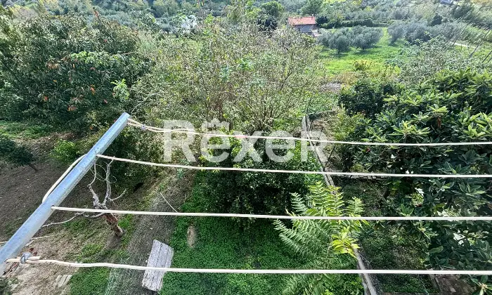 Rexer-Spoltore-Propriet-storica-sviluppata-su-tre-livelli-Altro